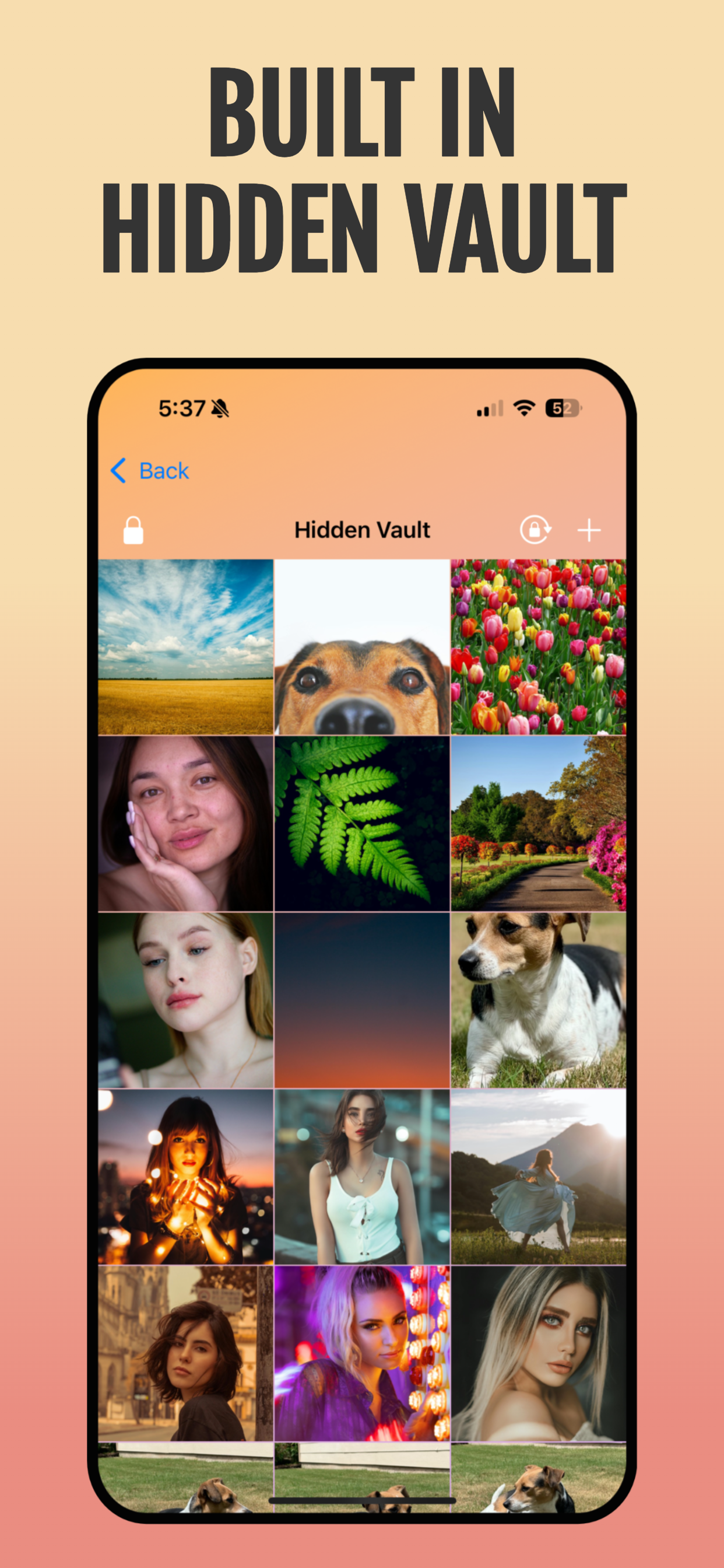 Clean Swipe AI screenshot of organization tools